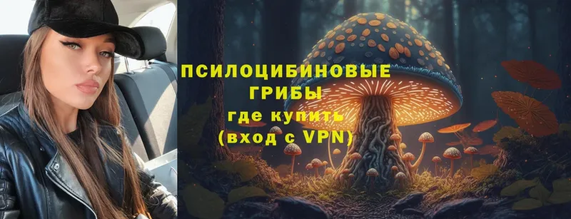 Псилоцибиновые грибы Magic Shrooms  как найти закладки  Зеленоградск 